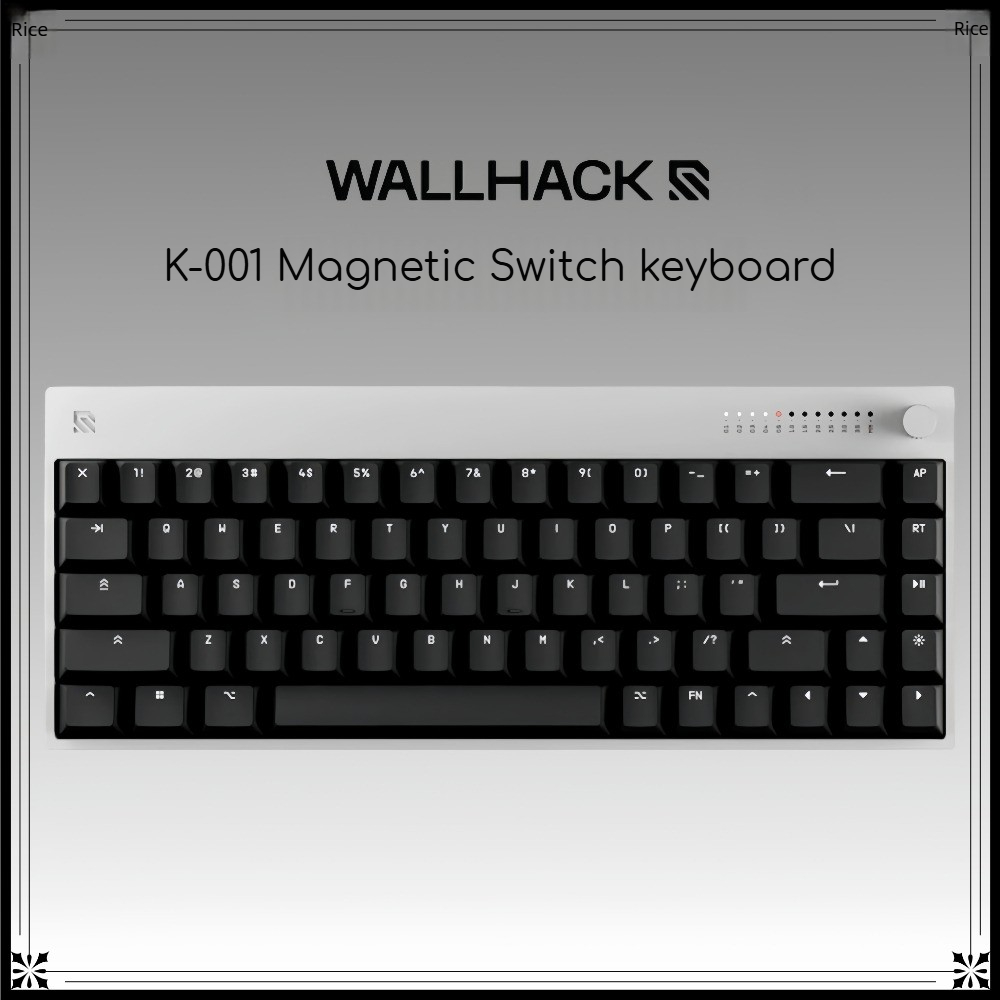 Teclado con interruptor magnét - Gaming Keyboard Hall Effect Switches reseña y precio